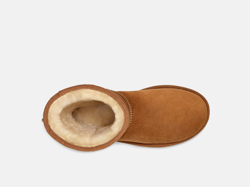 Ž.PLČ. 2321016223CHE -UGG