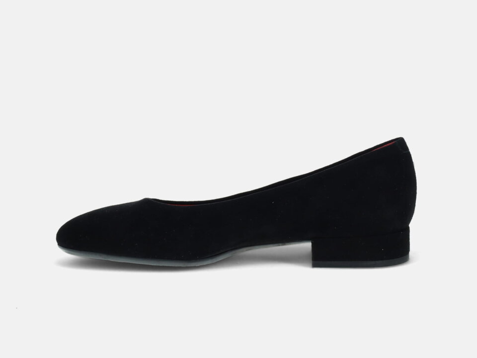 Ž.CIP. 2410002470BLC- PDR