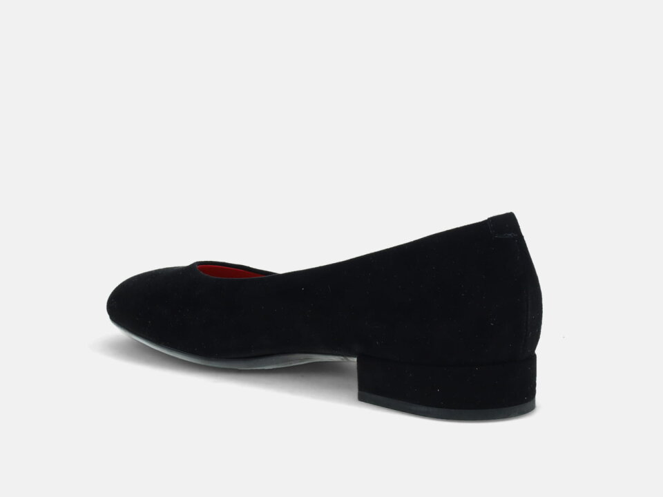 Ž.CIP. 2410002470BLC- PDR