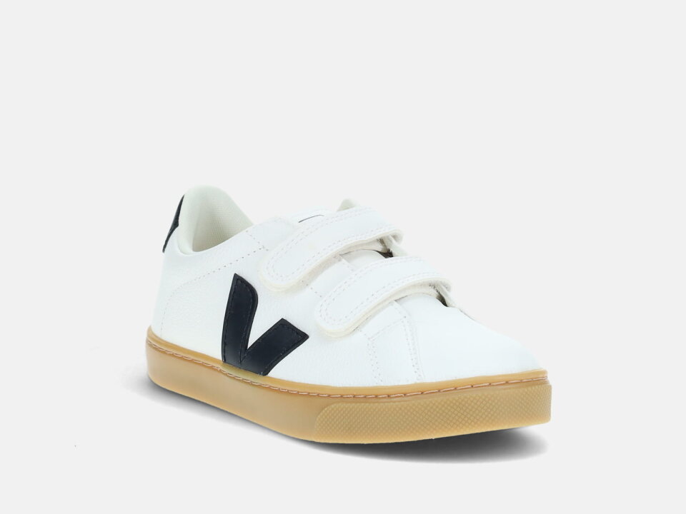 DJ.TEN.  242SV053603BC -VEJA