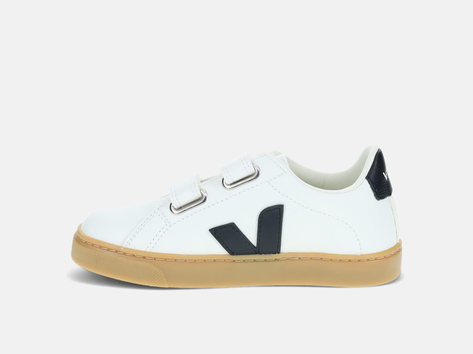 DJ.TEN.  242SV053603BC -VEJA