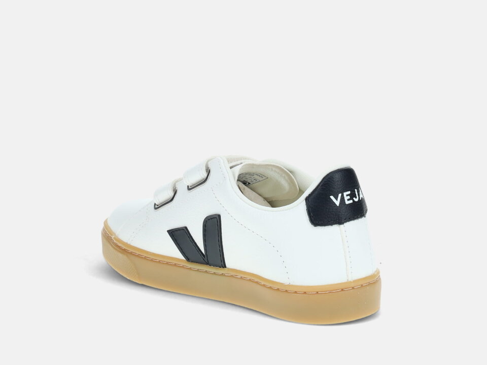 DJ.TEN.  242SV053603BC -VEJA