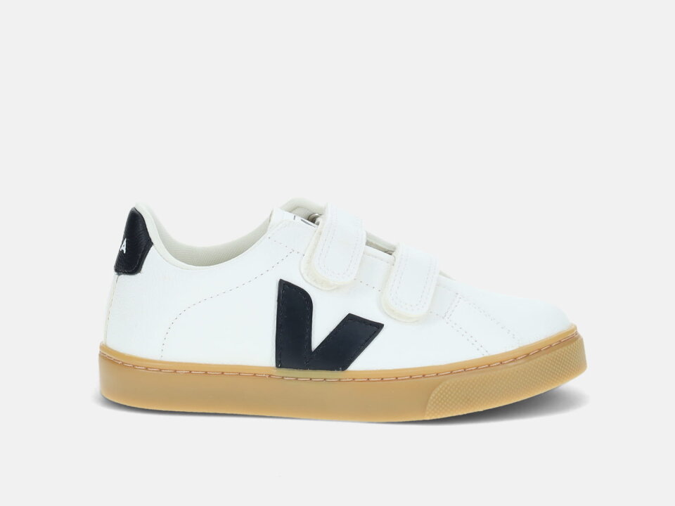DJ.TEN.  242SV053603BC -VEJA