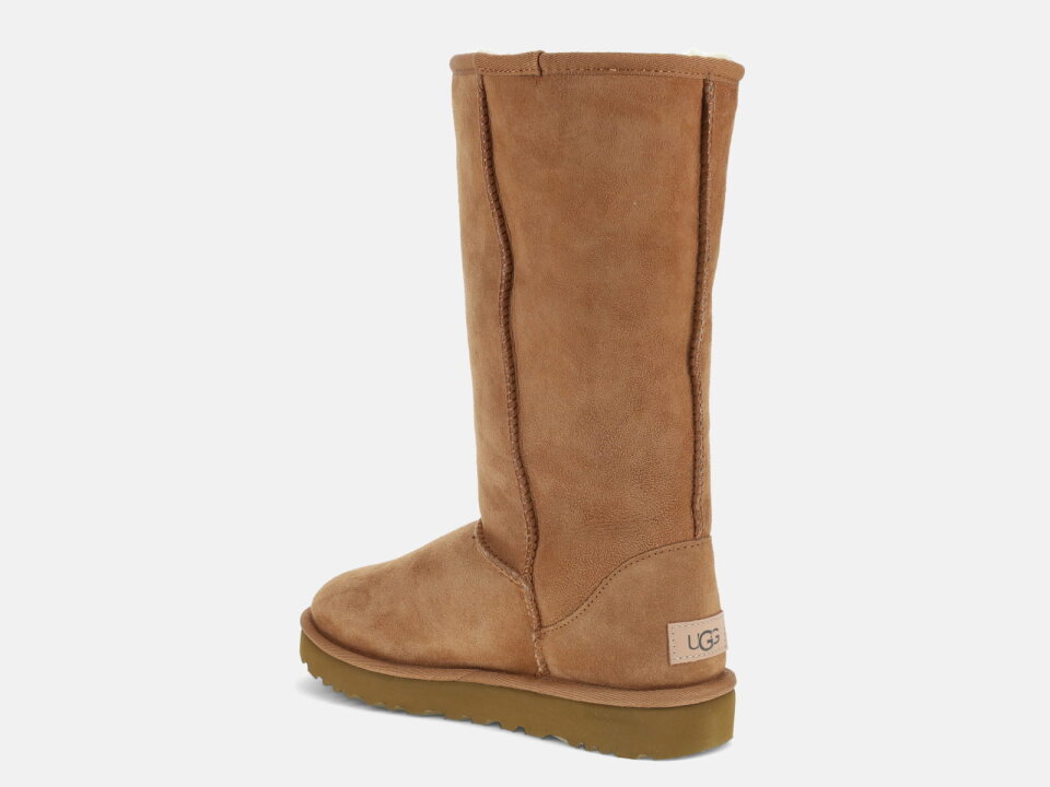 Ž.ČIZ. 2421016224CHE -UGG