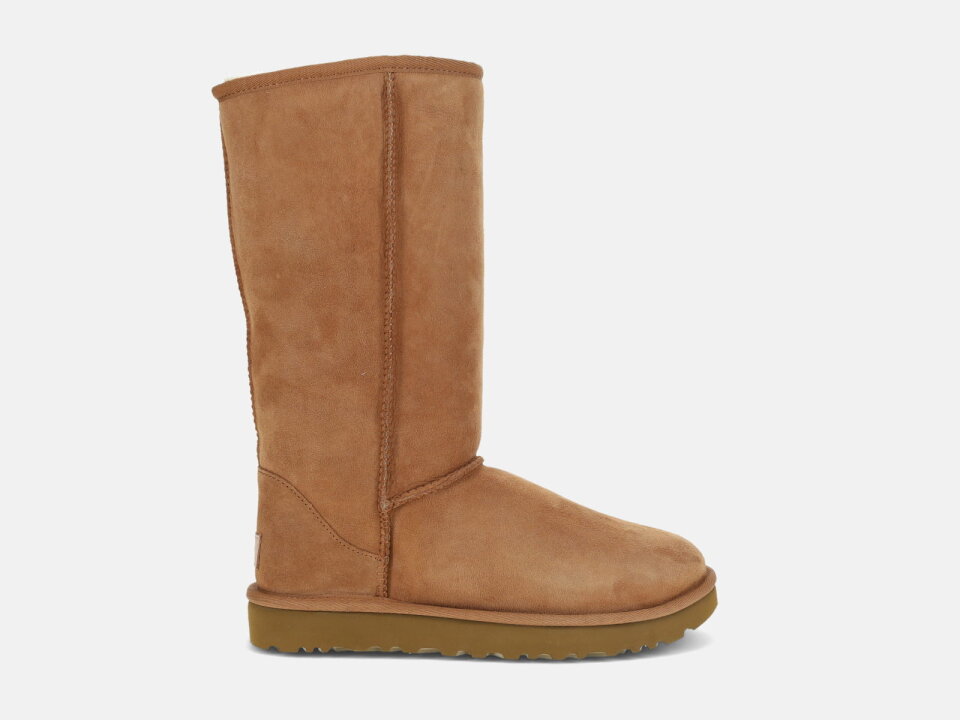 Ž.ČIZ. 2421016224CHE -UGG