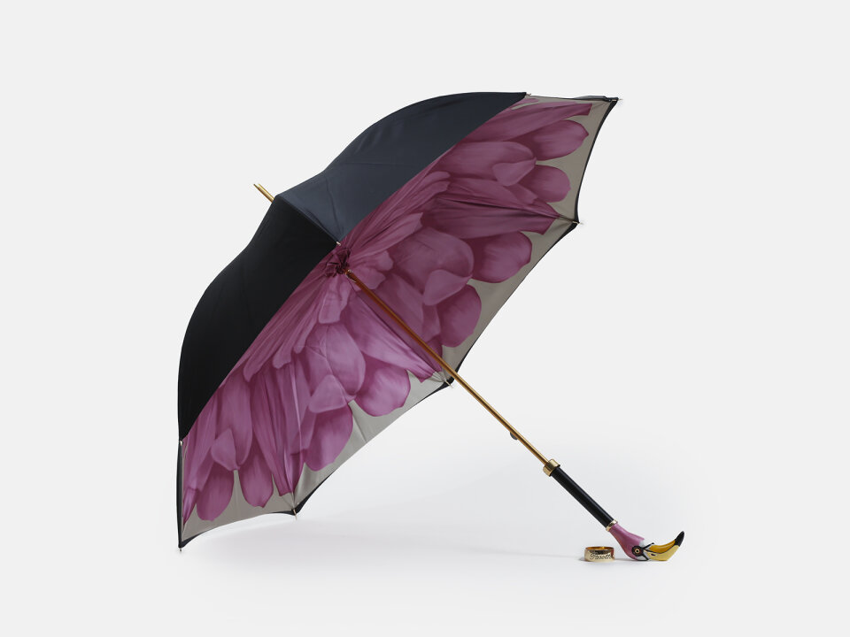 KIŠOB. 2421892106530BC -PASOTT