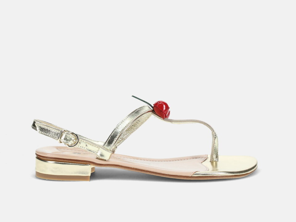 Ž.SAN. 2510B25029GLD -BOTTE