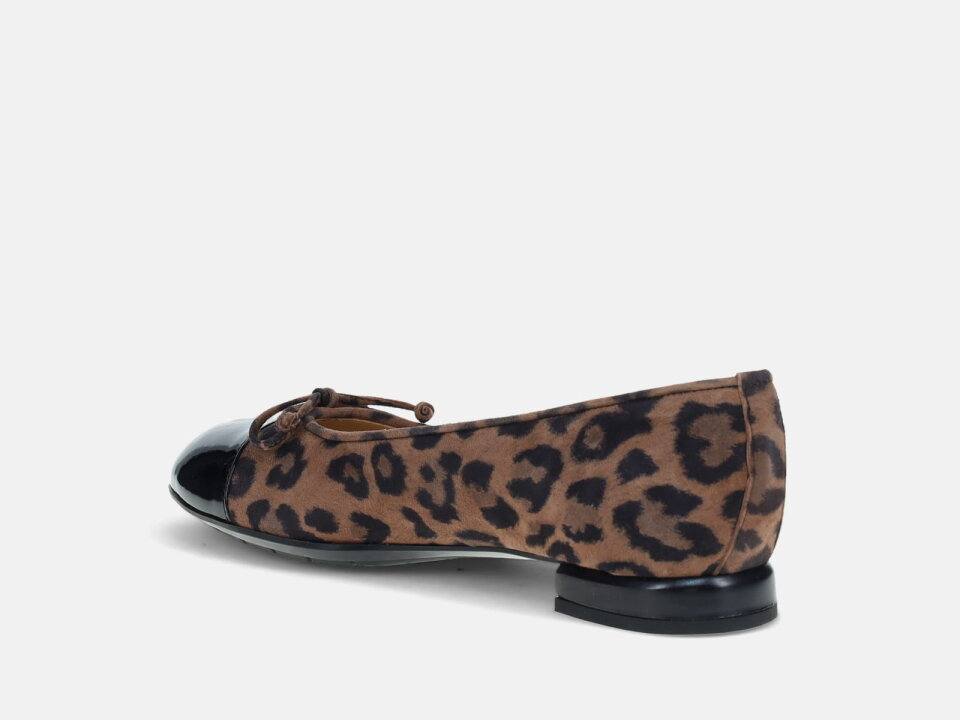 Ž.CIP. 2520011717BRW -BRUNAT