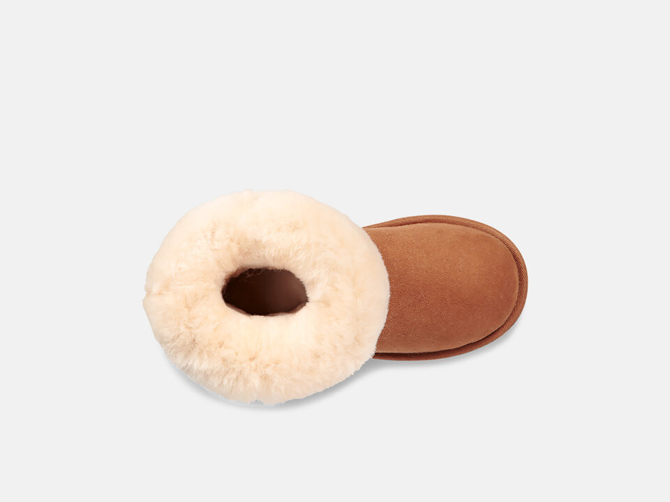 DJ.ČIZ. 2521017703KCH -UGG