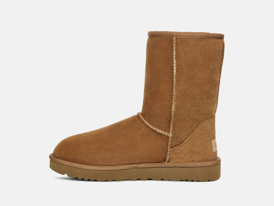 Ž.ČIZM. 2521016223CHE -UGG