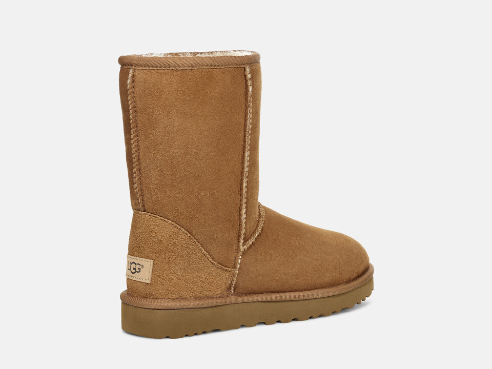 Ž.ČIZM. 2521016223CHE -UGG