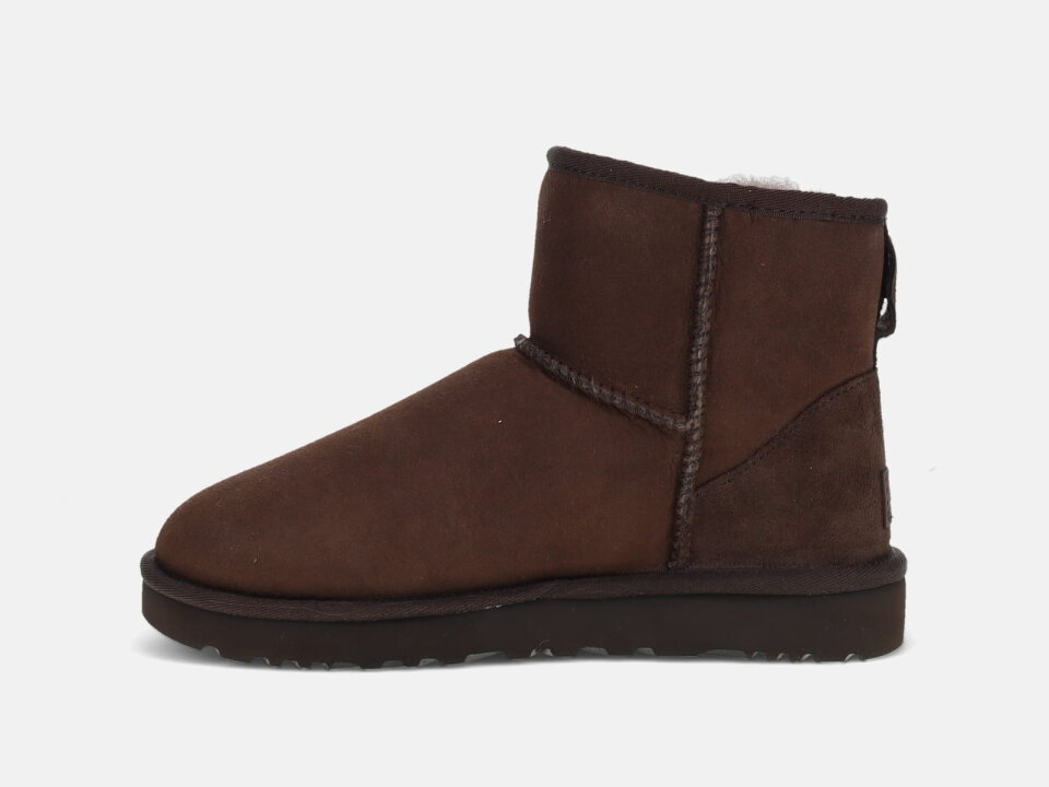 Ž.PLČ. 2521016222DDC -UGG