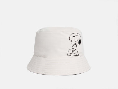 Ž.ŠEŠ. 252T1E500101BGE -COCC