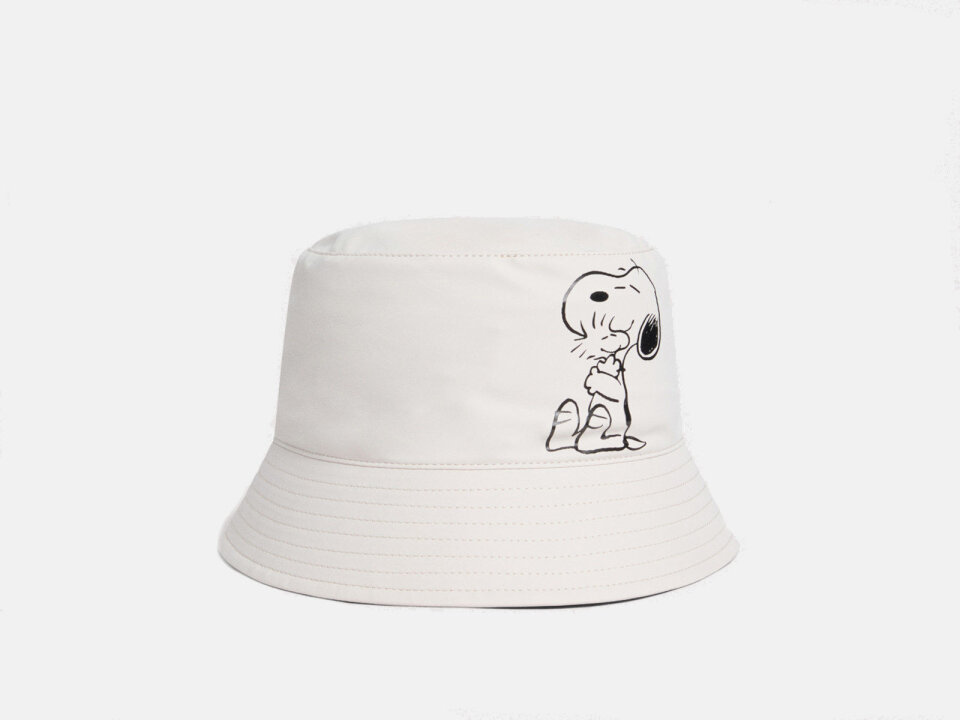 Ž.ŠEŠ. 252T1E500101BGE -COCC